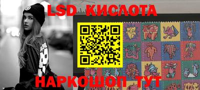 молекула духа Шелехов
